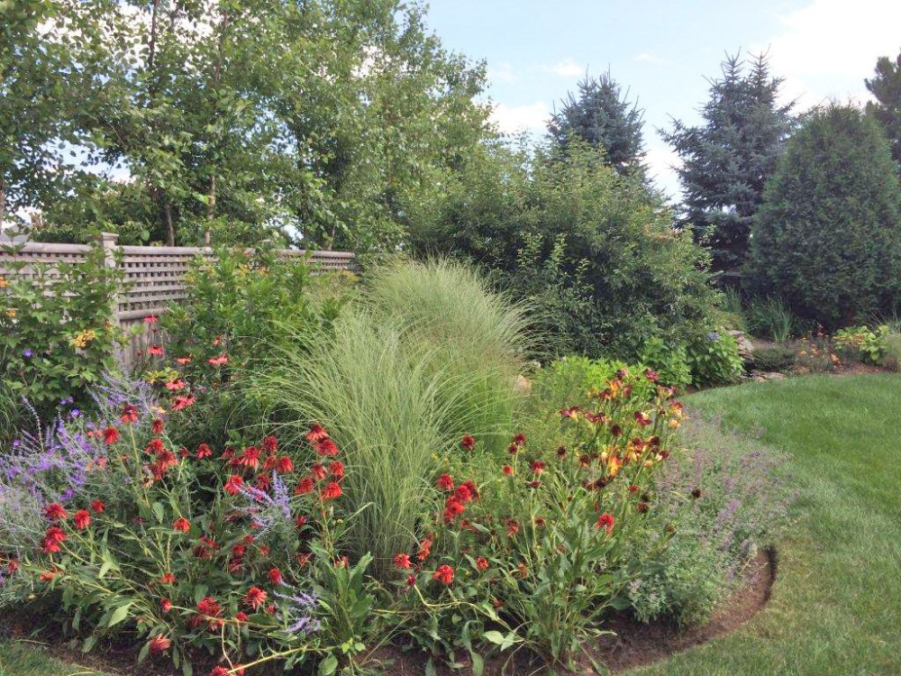 A curved bed of colorful perennials and ornamental grasses from Tasker’s plantings gallery